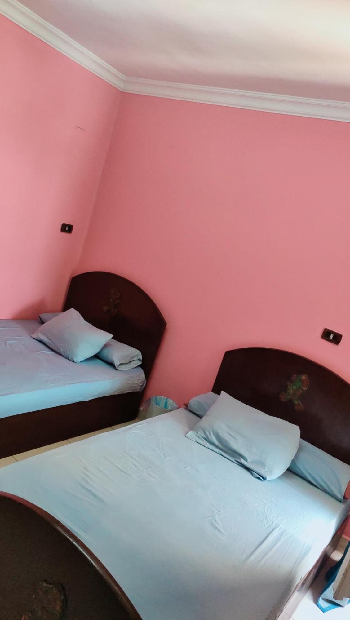 Cozy Guc View Female-home - Near To Airport דירה
